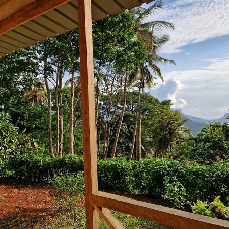World'S View Wild Camping Salaszoi, Principe Island Santo Antonio Exterior photo