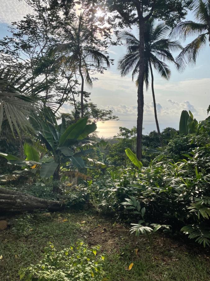 World'S View Wild Camping Salaszoi, Principe Island Santo Antonio Exterior photo